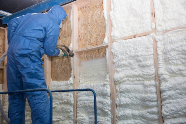 Best Radiant Barrier Insulation  in Rineyville, KY